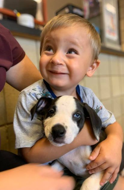 Jackson County Animal Shelter - Michigan/Facebook