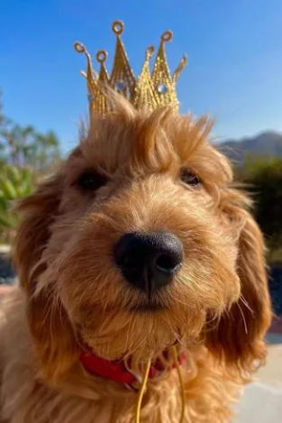 instagram/@mattyperry4