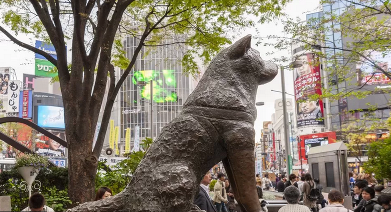 Hachiko