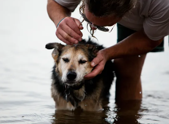 Hannah Stonehouse Hudson