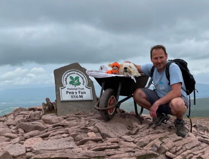 Letzte Wanderung: Mann schiebt todkranken Hund in Scheibtruhe Berg hoch