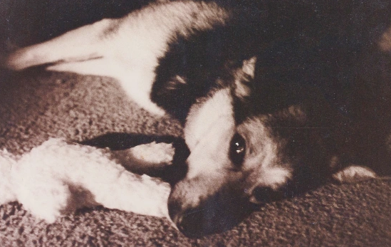 Hannah Stonehouse Hudson