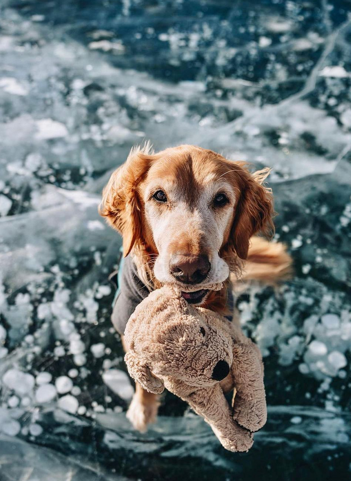 gumbowithshrimp/Instagram