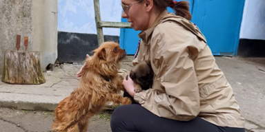 Love Furry Friends - Rescue Channel