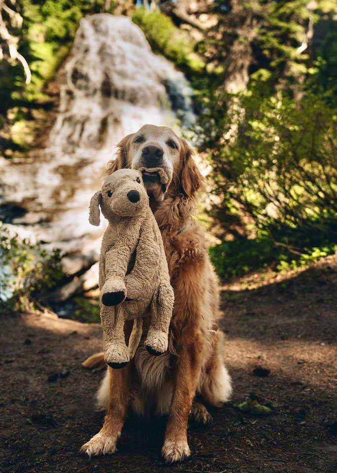 gumbowithshrimp/Instagram