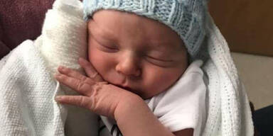 Bullterrier-Attacke gegen Neugeborenes