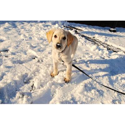 Müde sein und frieren geht gar nicht