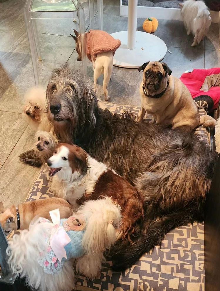 wolfgang2242/Instagram