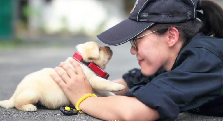 New Taipei City Police Department K9 Unit
