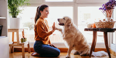 Wiener Start-up gibt Hundebesitzern Sonderurlaub