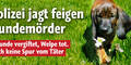 Hundemord