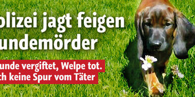 Polizei jagt feigen Hundemörder