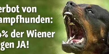 84 % der Wiener wollen Verbot von Kampfhunden