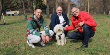 Bis Sommer fertig: Kummergasse wird zum Hunde-Mekka