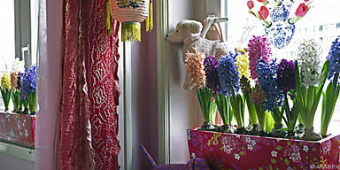 Hyazinthen gibt es in vielen Farben