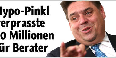 Pinkl hatte Berater für 50 Mio Euro