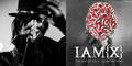 IAMX