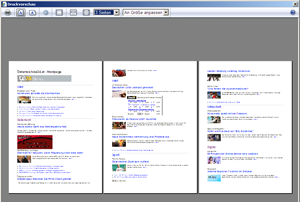 IE7 Screenshot print