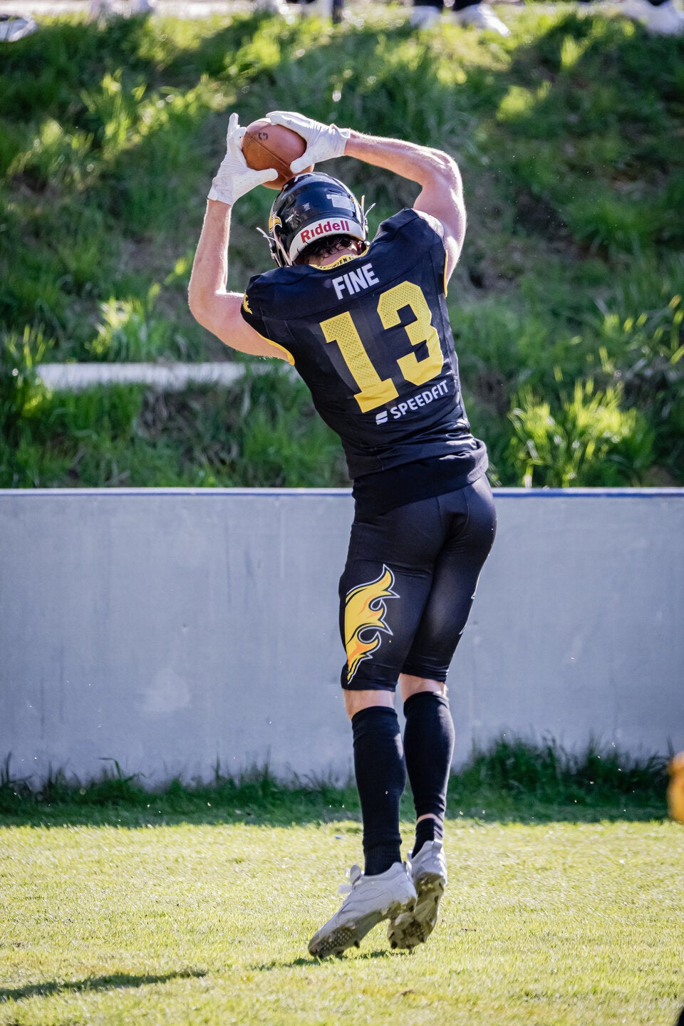 Vienna Knights Graz Giants