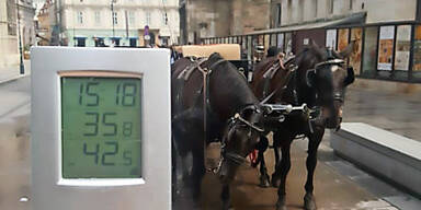 Fiaker-Skandal: Trotz 35,8 Grad NICHT hitzefrei