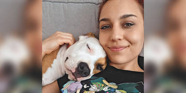 Entf&uuml;hrter Welpe Sabo nach 7 Tagen in Geb&uuml;sch gefunden