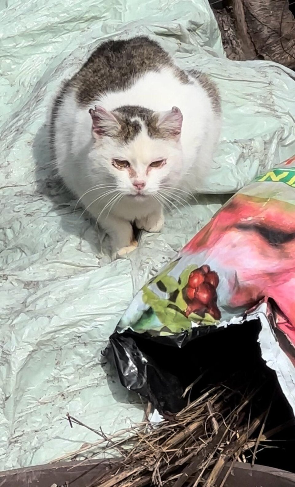 Pferdehof Tierquälerei