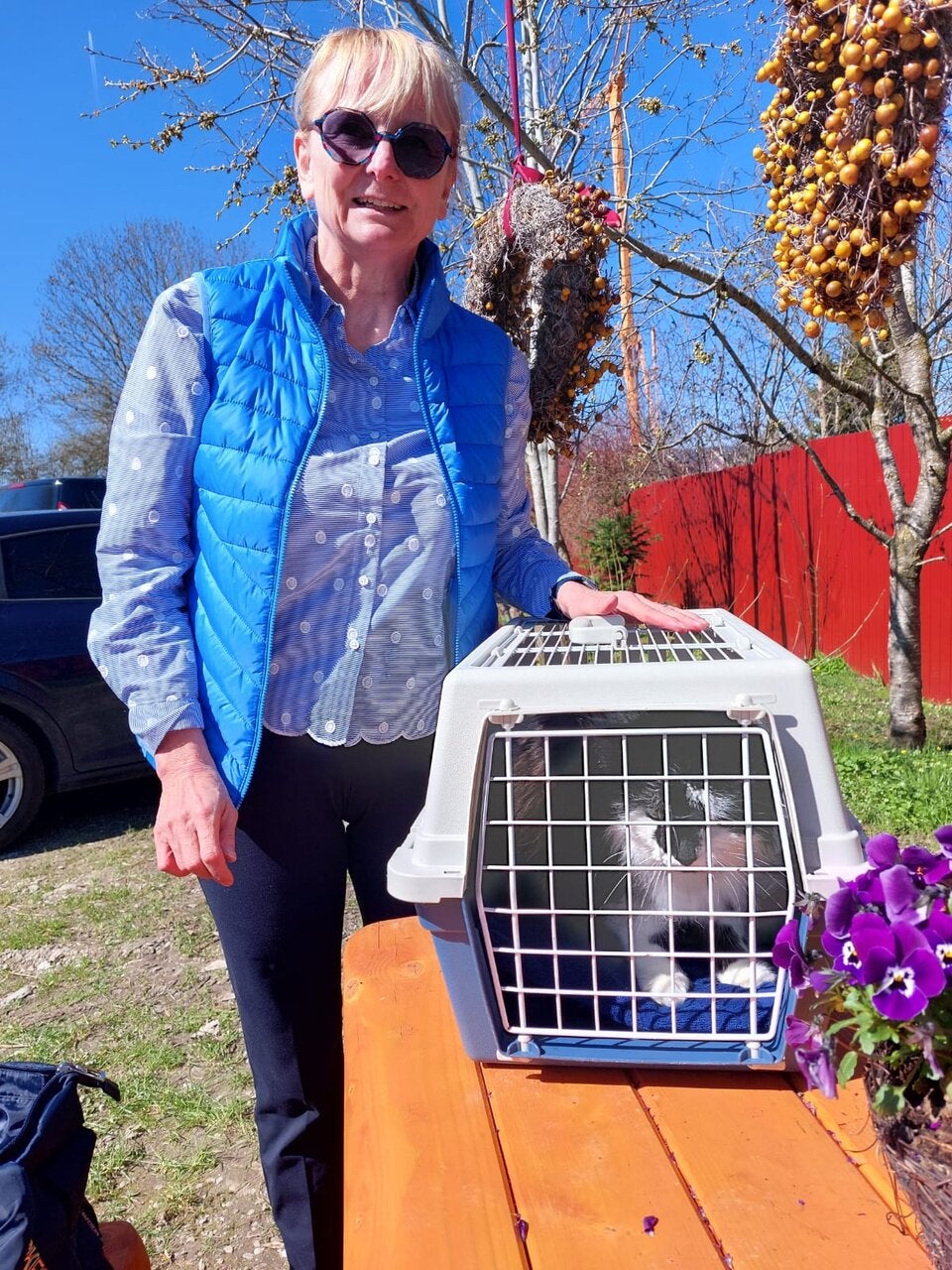 Kater nach 3 Monaten zu Hause