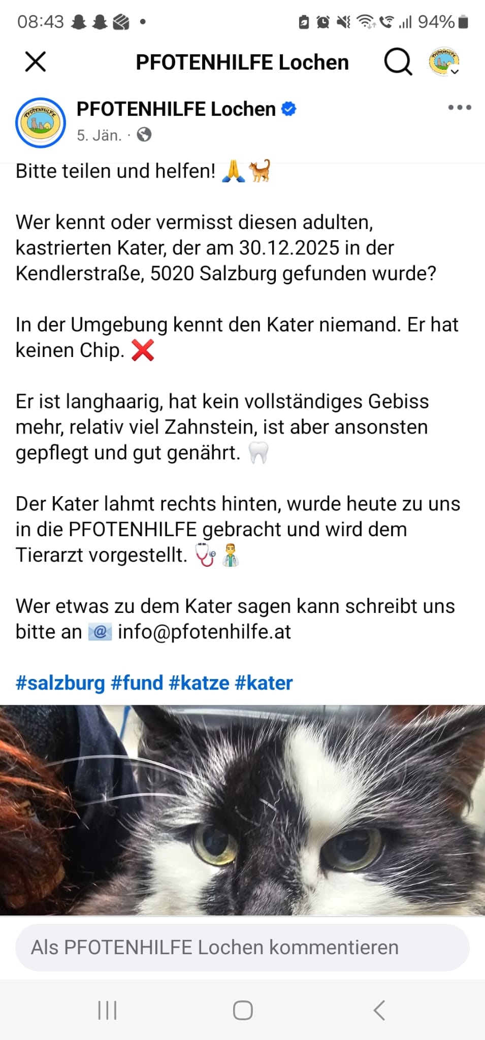 Kater nach 3 Monaten zu Hause