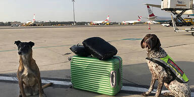 Schmuggler am Flughafen mit 5 Kilo Cannabis erwischt