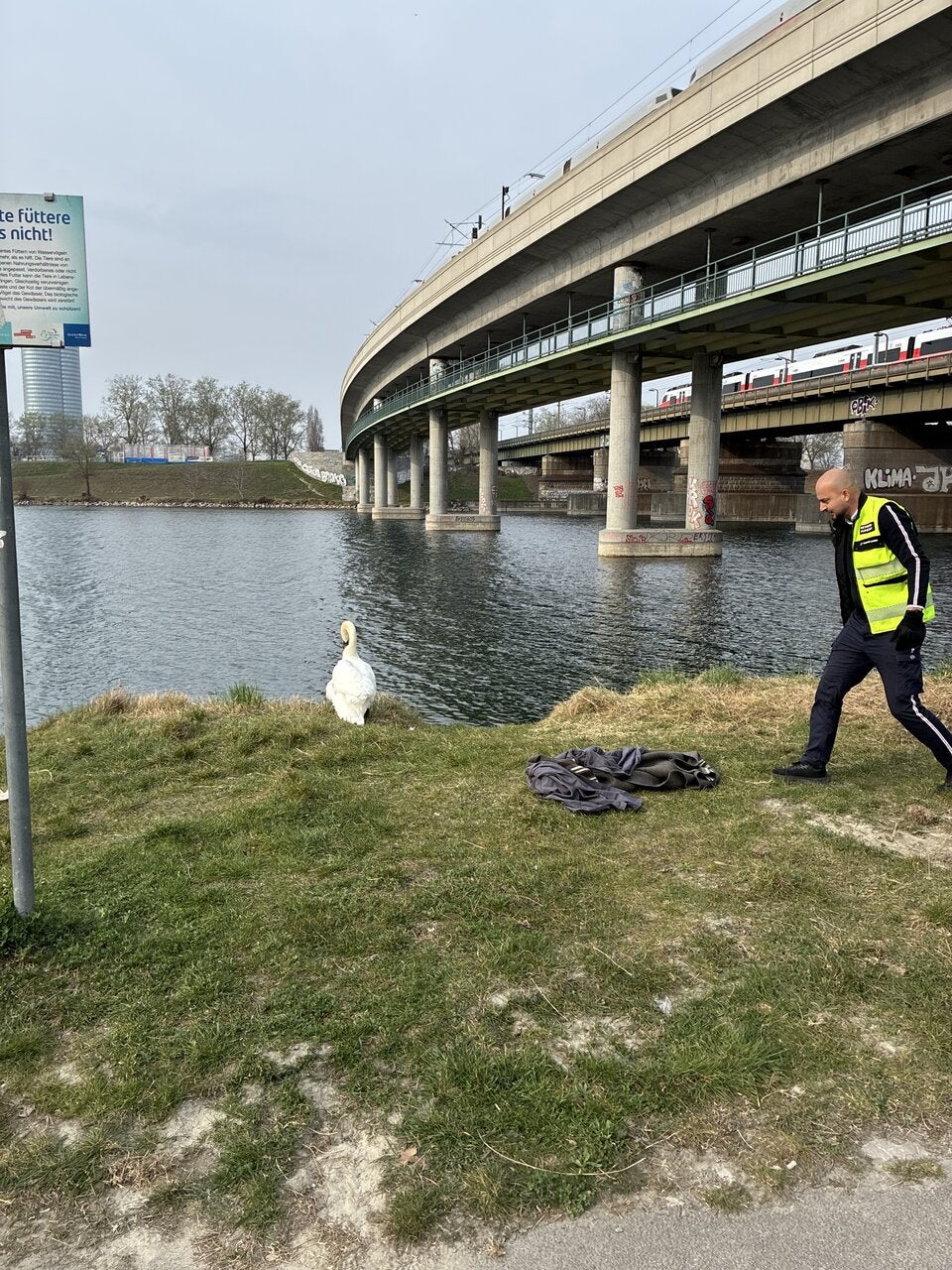 Kurioser Einsatz: Schwan machte es sich auf U6-Gleisen gemütlich