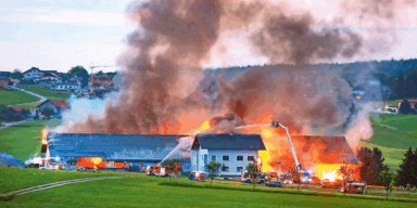 Brandinferno: Tote Rinder, zwei Personen verletzt