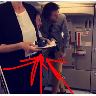 Die irre Hochzeit im AUA-Flieger