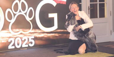 Top Dog Austria 2025: Spaniel-Sensation auf Schloss Laxenburg! Drama, Tr&auml;nen und Jonny Lee