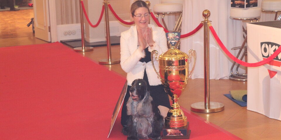 Top Dog Austria 2025: Spaniel-Sensation auf Schloss Laxenburg! Drama, Tränen und Jonny Lee