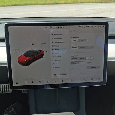 Tesla Model 3 Performance (2021)