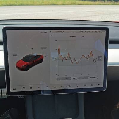 Tesla Model 3 Performance (2021)