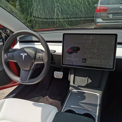 Tesla Model 3 Performance (2021)