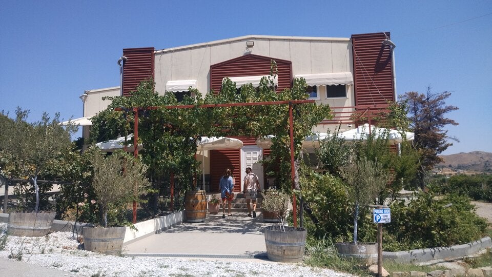 Weinverkostung im Bio-Weingut in Kaspakas