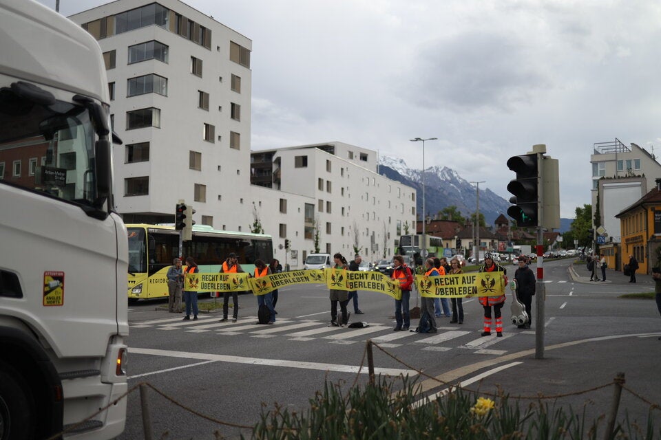 Klima-Kleber pflanzen bei Protest Baum auf Straße