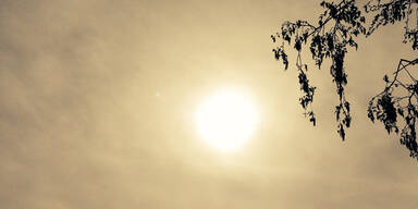 S&uuml;dwinde bringen Staub aus Sahara