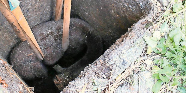 Alpaka Kärnten Molzbichl