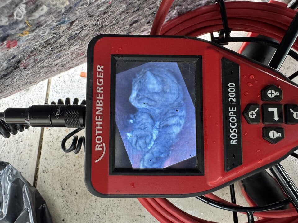 Katze in Kanalrohr Gusental