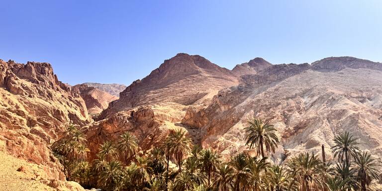Tunesien-Abenteuer: Sahara und Kultur bleiben unvergesslich