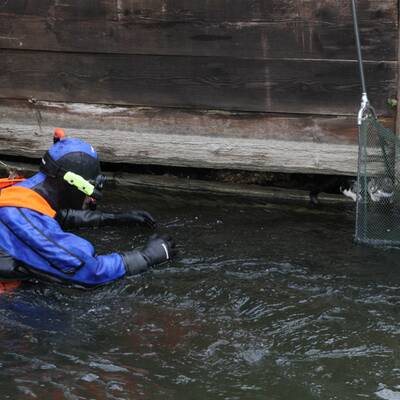 Feuerwehr-Taucher rettet Katze