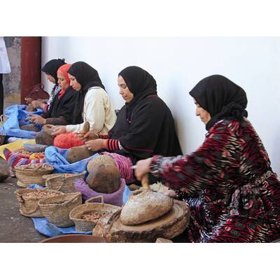 Arganöl erobert die Beauty-Welt