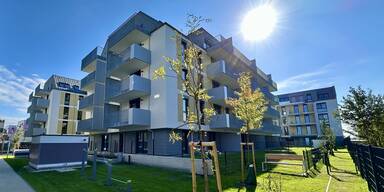 IMMOcontract: Neues Wohnprojekt in der Pfalzgasse in Wien 22