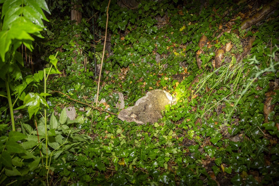 Mehrere Gesteinsbrocken haben sich im steilen Gelände gelöst.