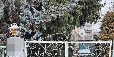 Säugling totgeschüttelt