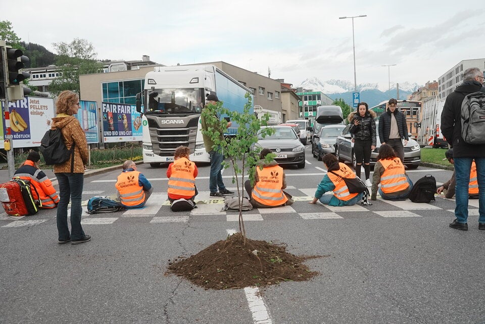 Klima-Kleber pflanzen bei Protest Baum auf Straße