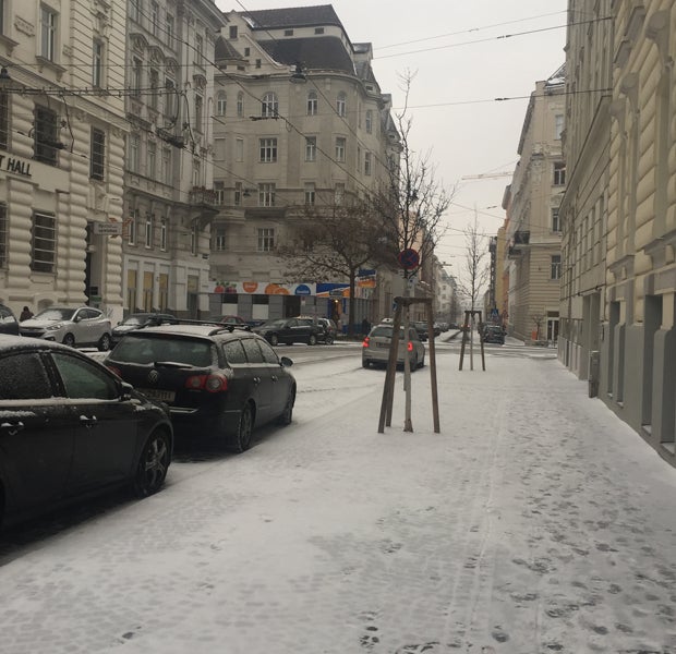 Jetzt wird auch Wien eingeschneit